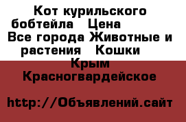 Кот курильского бобтейла › Цена ­ 5 000 - Все города Животные и растения » Кошки   . Крым,Красногвардейское